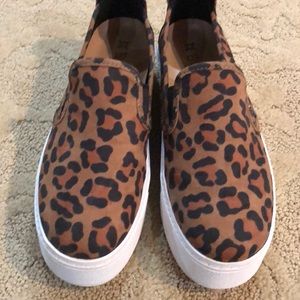 BCBG Leopard print platform slides.